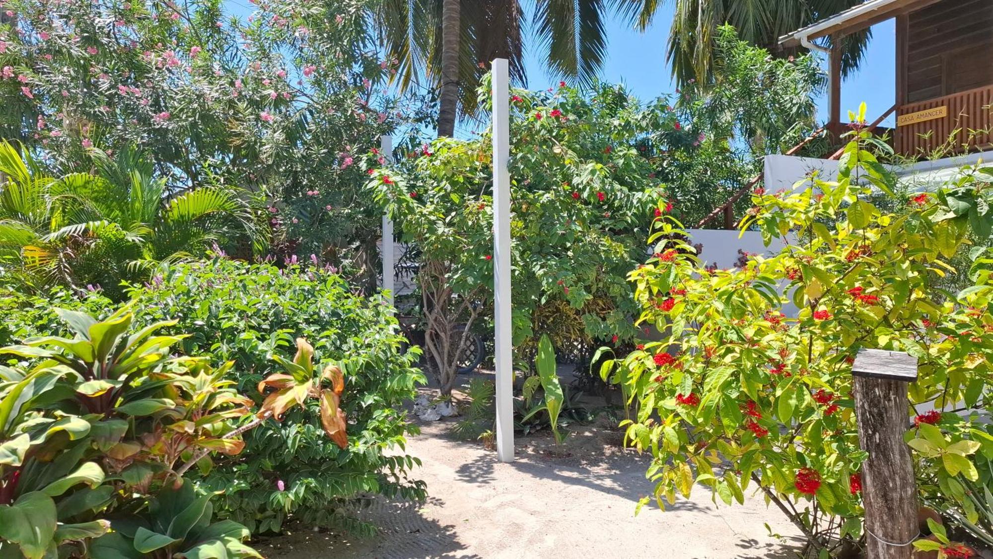Amanda'S Place Casa Amancer - Sea View, Pool And Tropical Garden Caye Caulker Kültér fotó