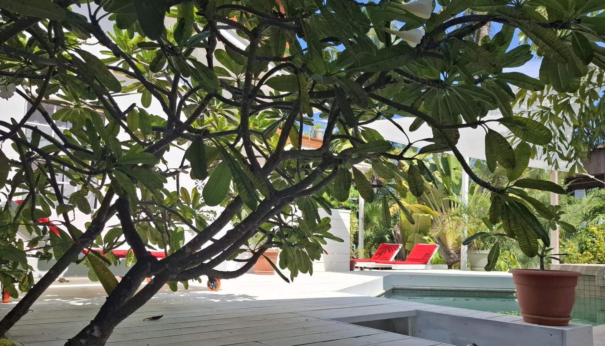 Amanda'S Place Casa Amancer - Sea View, Pool And Tropical Garden Caye Caulker Kültér fotó